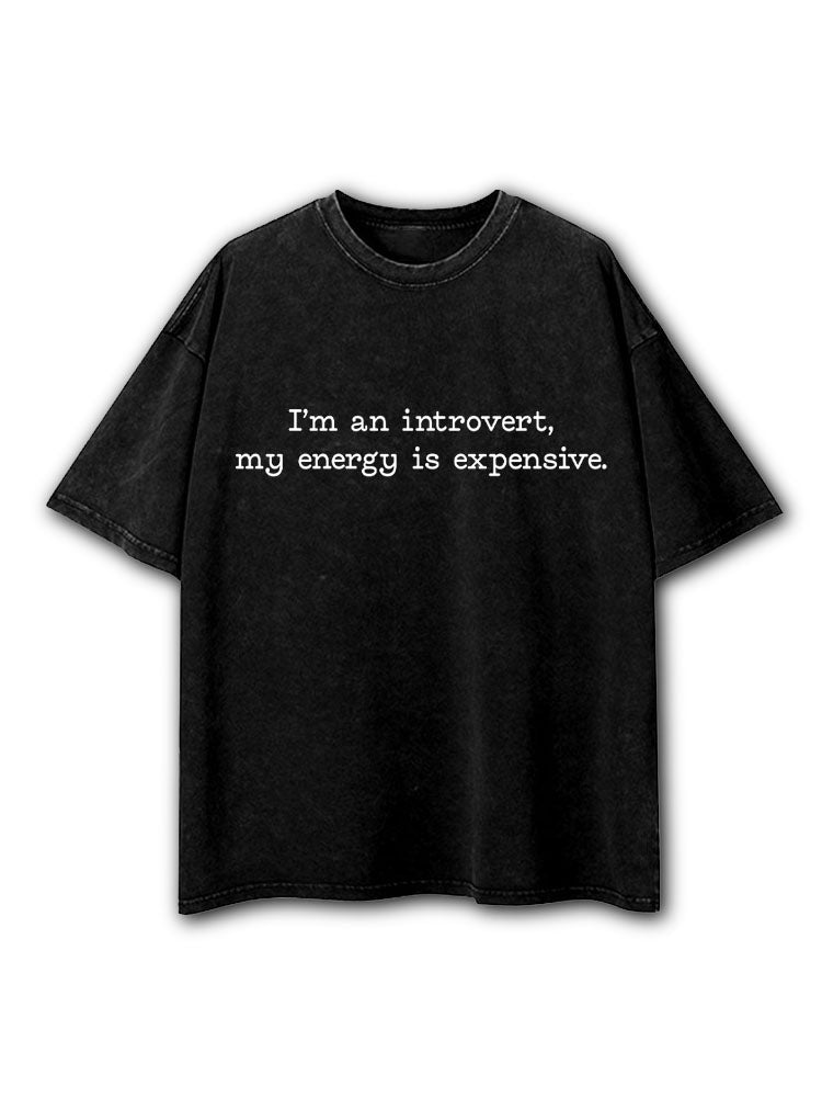 I’m An Introvert My Energy Is Expensive Washed T-Shirt